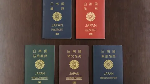 皇冠体育app下载